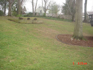 backyardviewfrombutler.jpg