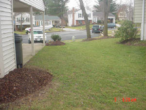 carportviewfrombackyard.jpg