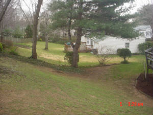 fence57feet.jpg