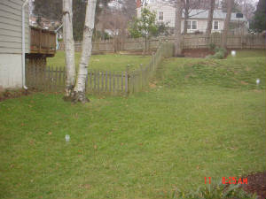 fencebutler017.jpg
